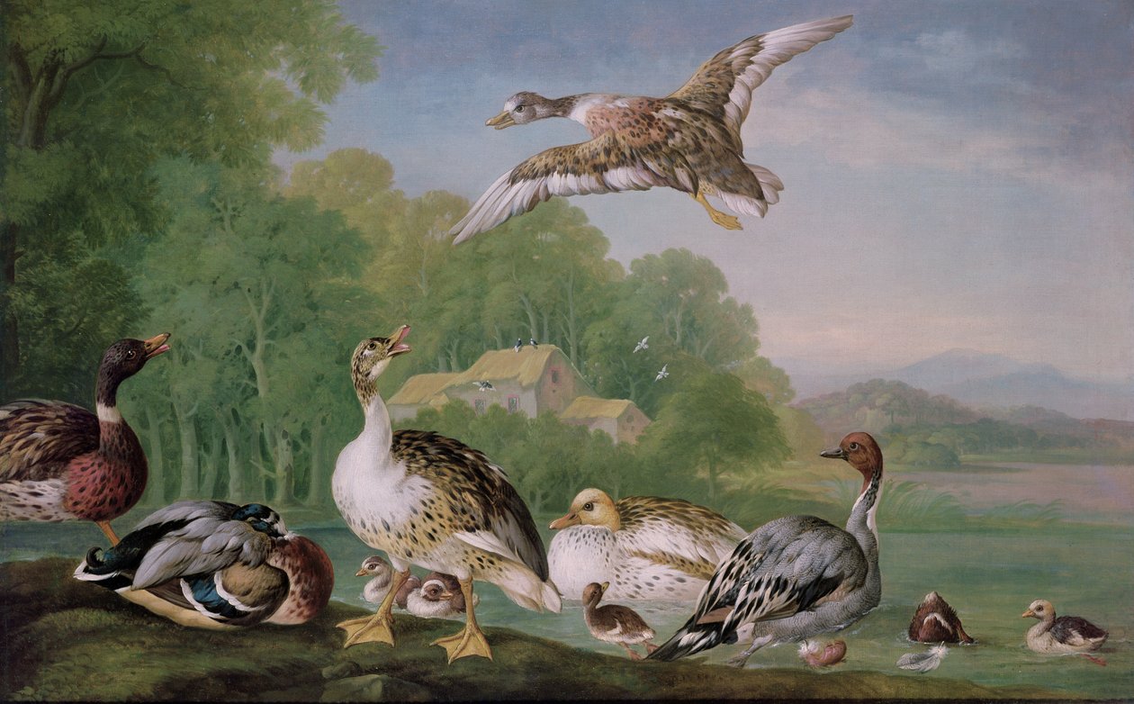 Imagen desconocida de Pieter Casteels