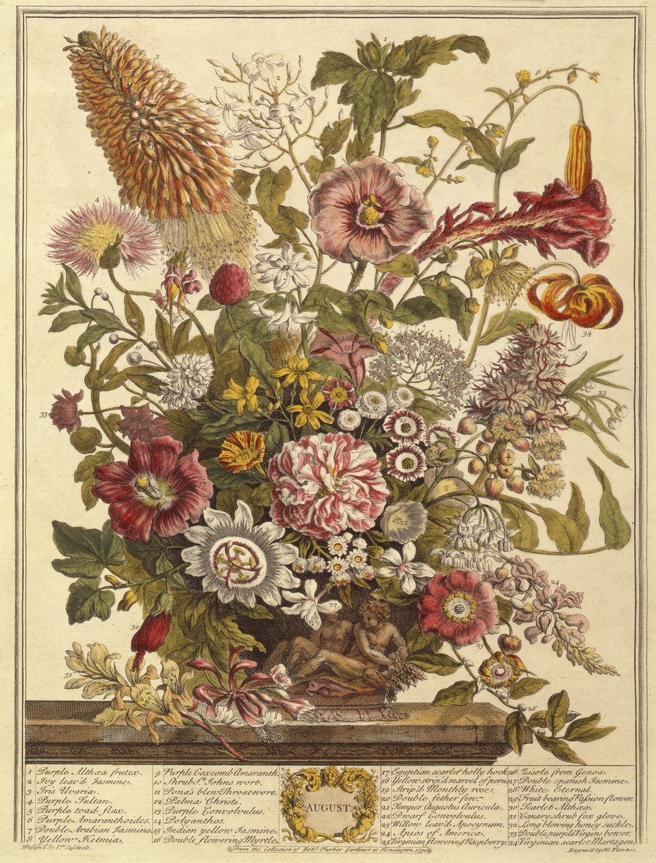 Agosto, de Los Doce Meses de Flores por Robert Furber (c.1674-1756) grabado por Henry Fletcher (grabado en color) de Pieter after Casteels