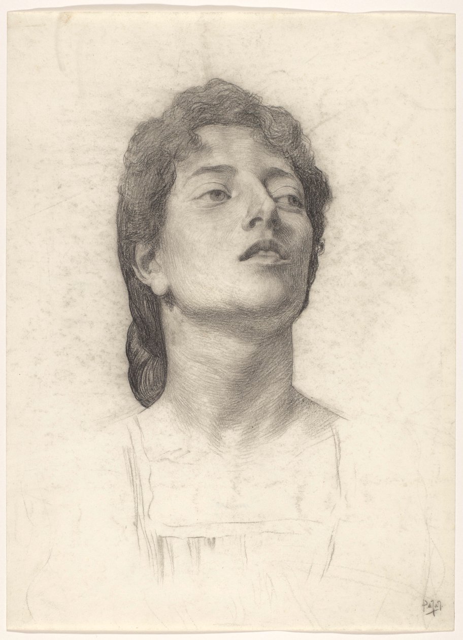 Retrato de una mujer de Pieter de Josselin