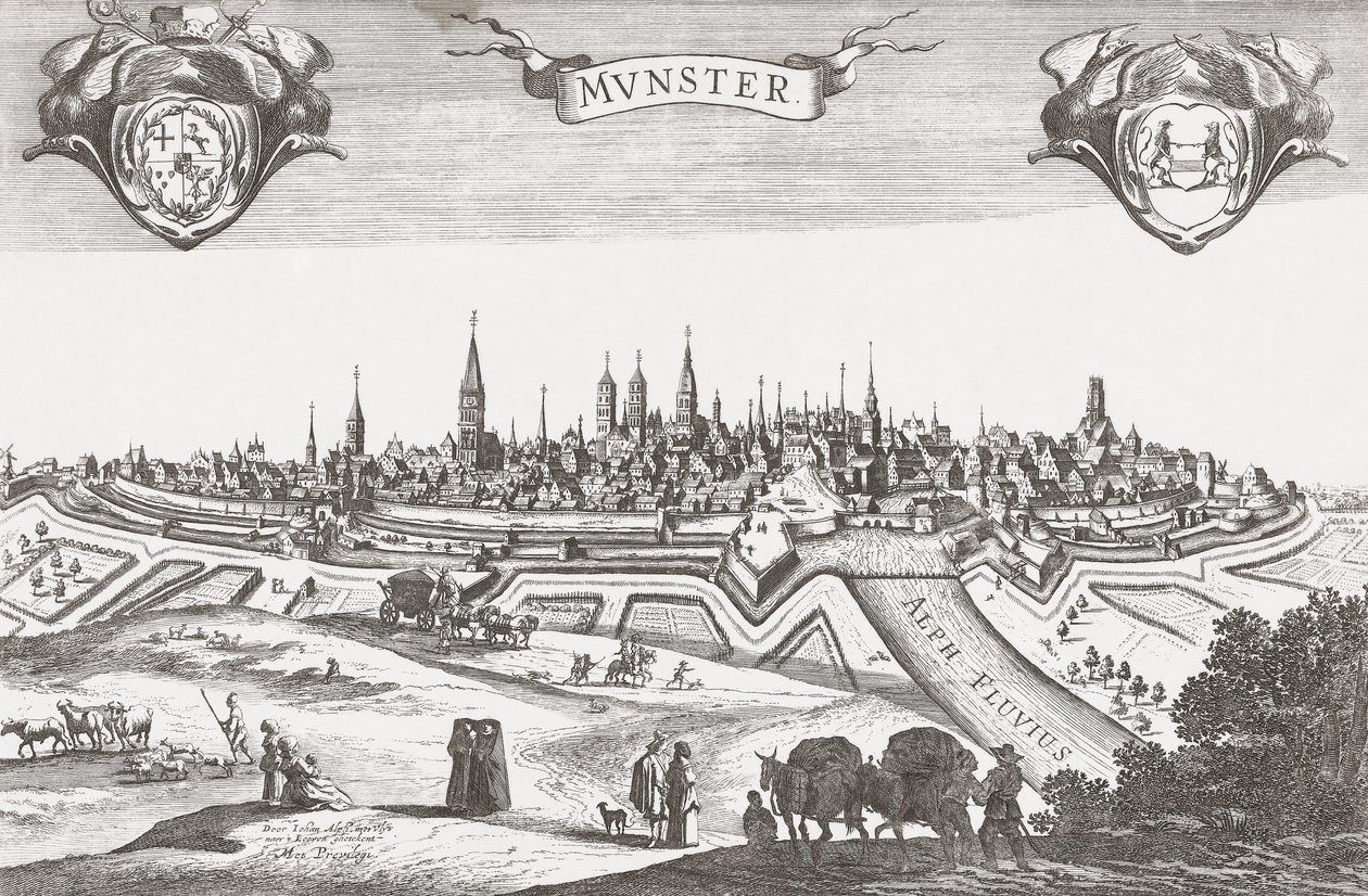 Panorama de Munster, Alemania (impresión) de Pieter (after) Nolpe
