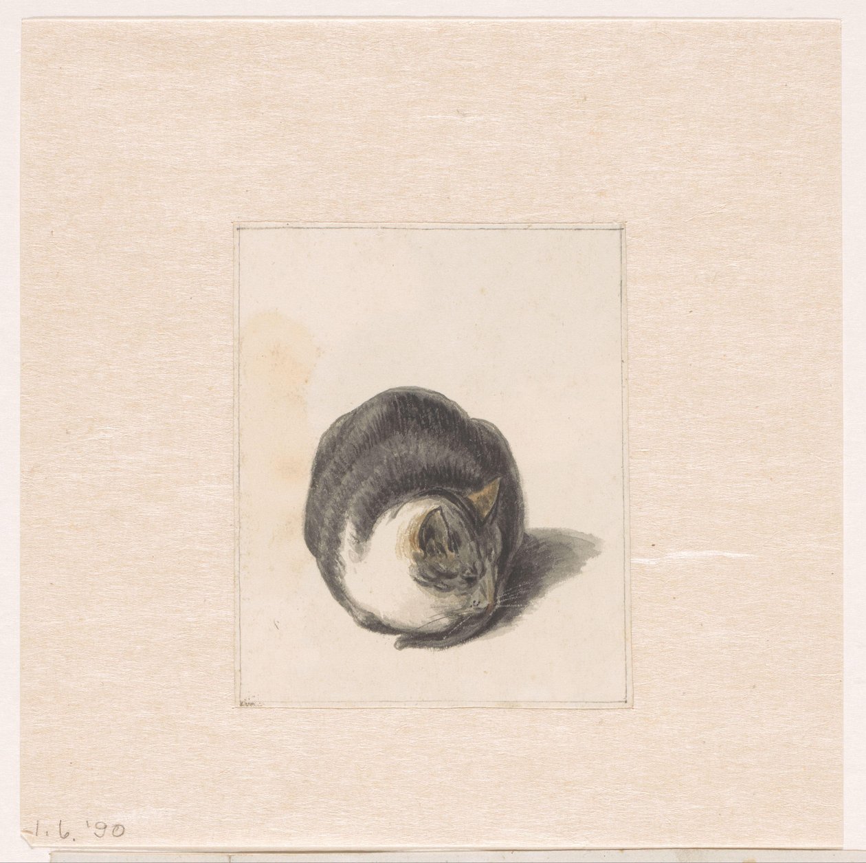 Gato sentado, visto de frente de Pieter Bartholomeusz. Barbiers