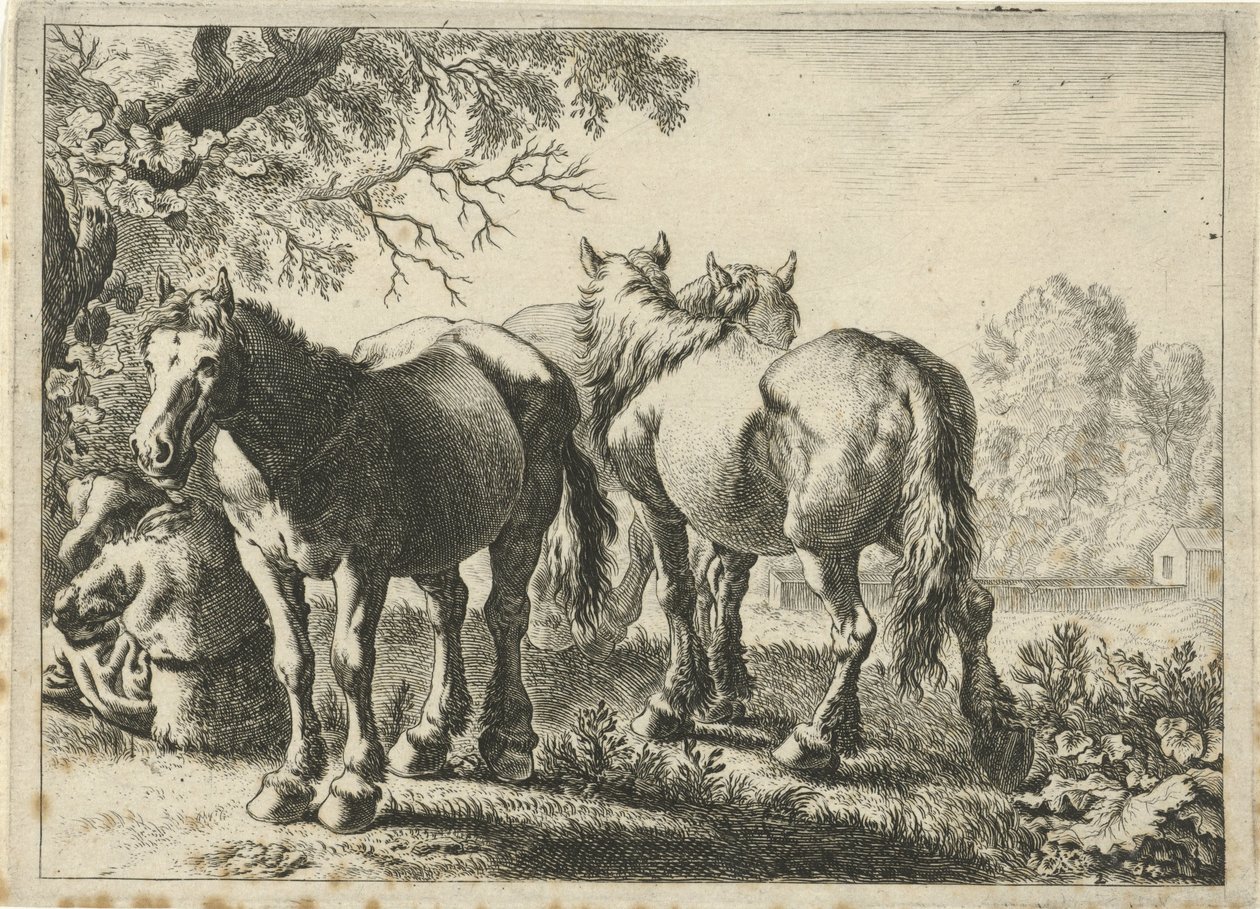 Tres caballos y un granjero Diferentes animales (título de la serie) de Pieter Bodding van Laer