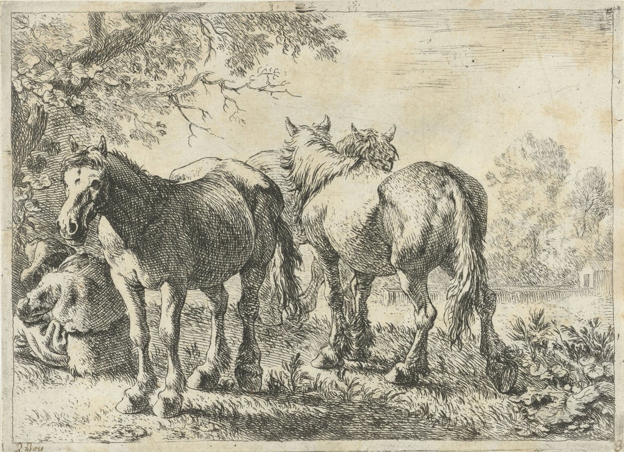 Tres caballos y un granjero Diferentes animales (título de la serie) de Pieter Bodding van Laer