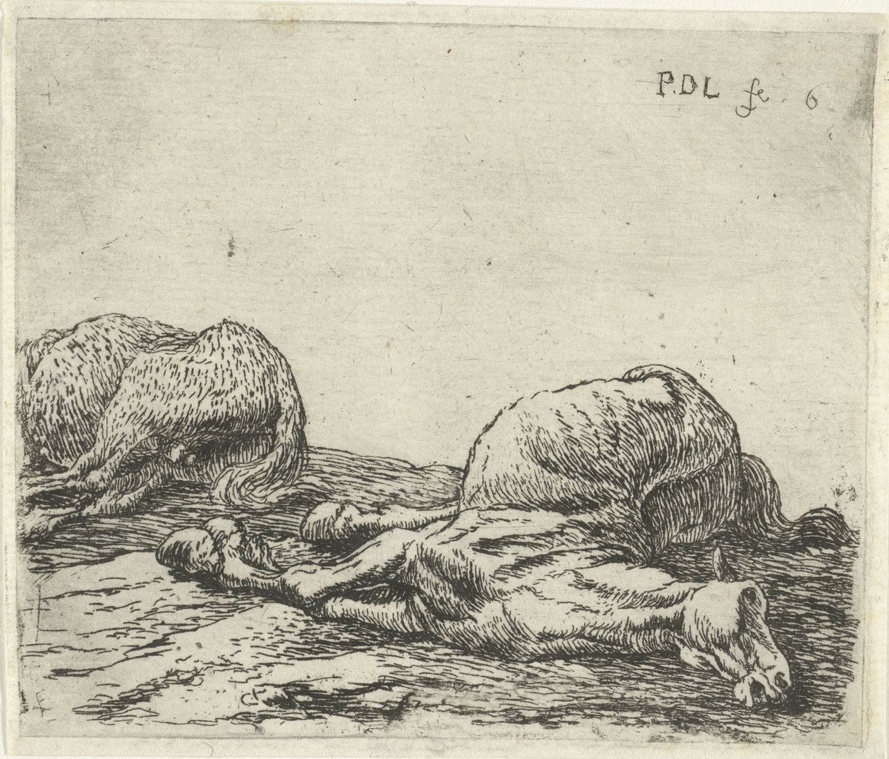 Dos caballos muertos Caballos (título de la serie) de Pieter Bodding van Laer