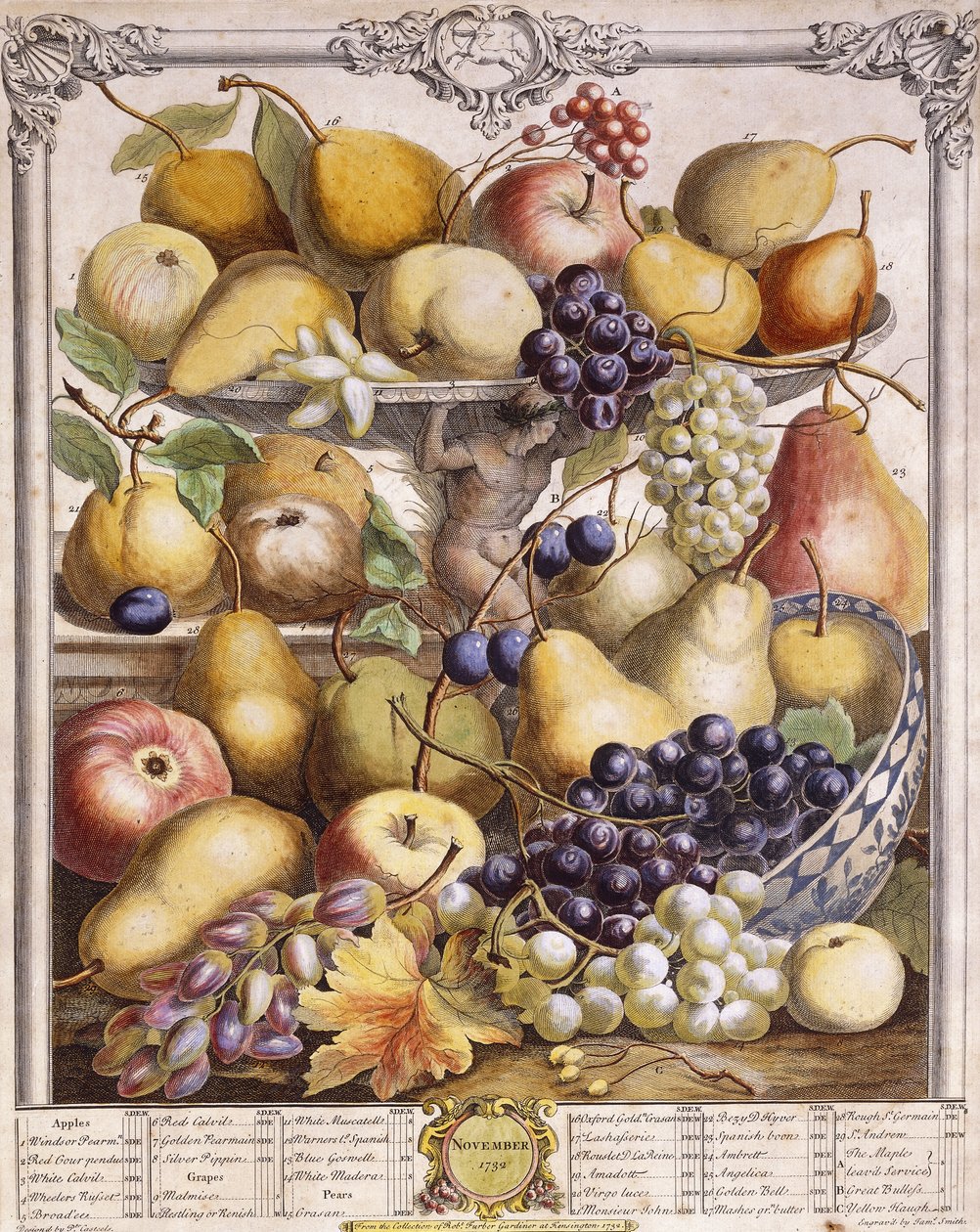 Noviembre de 1732, mostrando manzanas, peras, uvas de temporada, etc., 1732 de Pieter Casteels