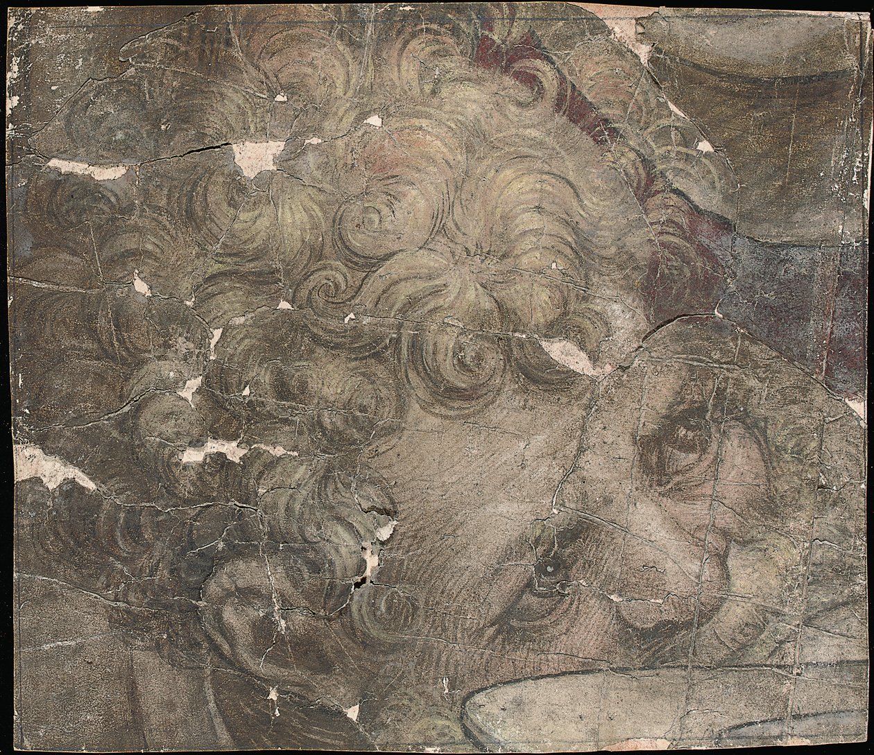 Cabeza de un hombre barbudo mirando hacia arriba de Pieter Coecke van Aelst