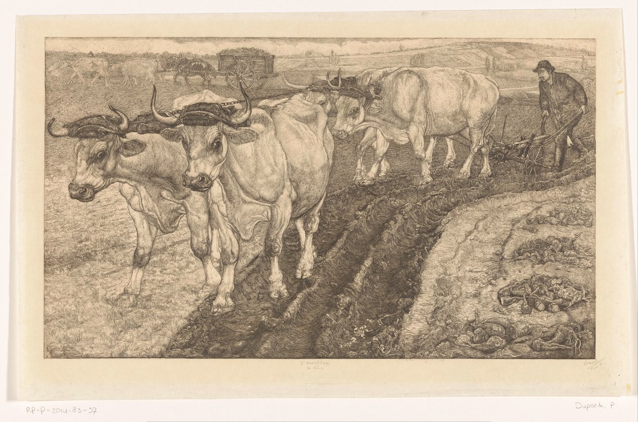 Les Boeufs (título original del objeto)
L