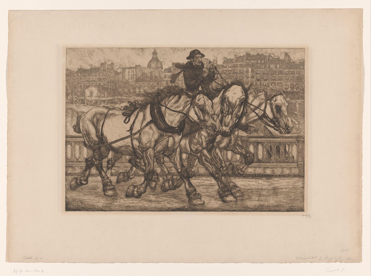 Paarden op de Pont Sully en Parijs
L