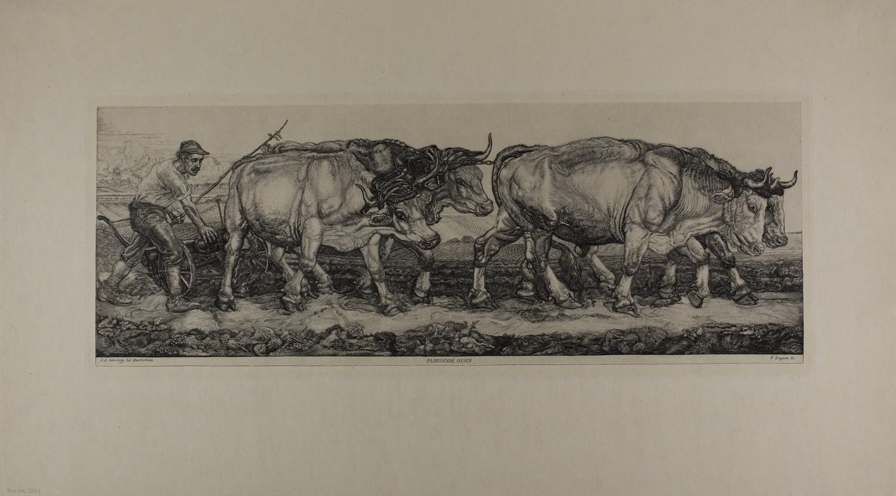 Bueyes de arado de Pieter Dupont
