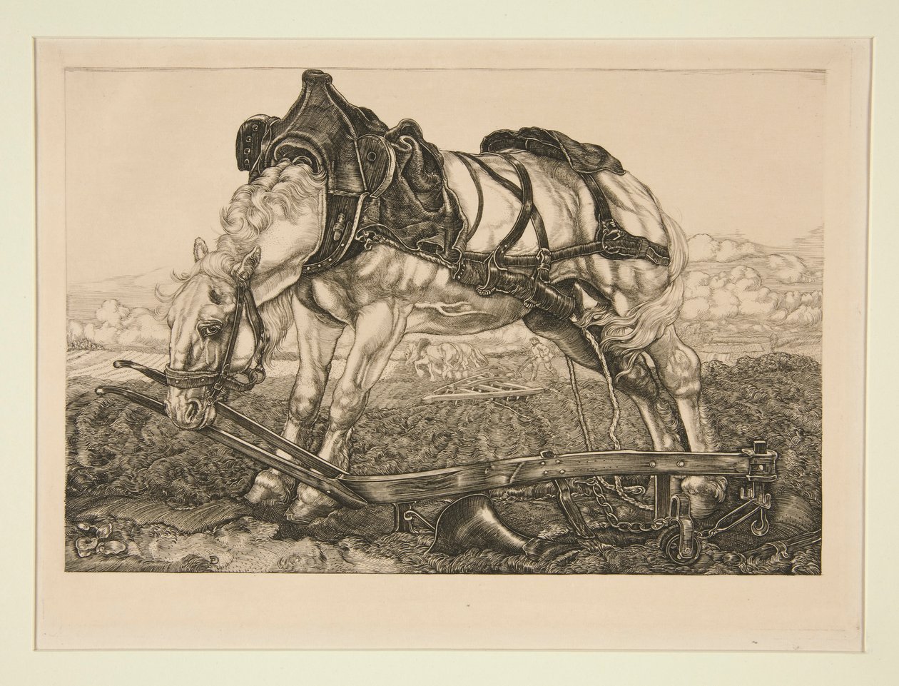 caballo de trabajo de Pieter Dupont