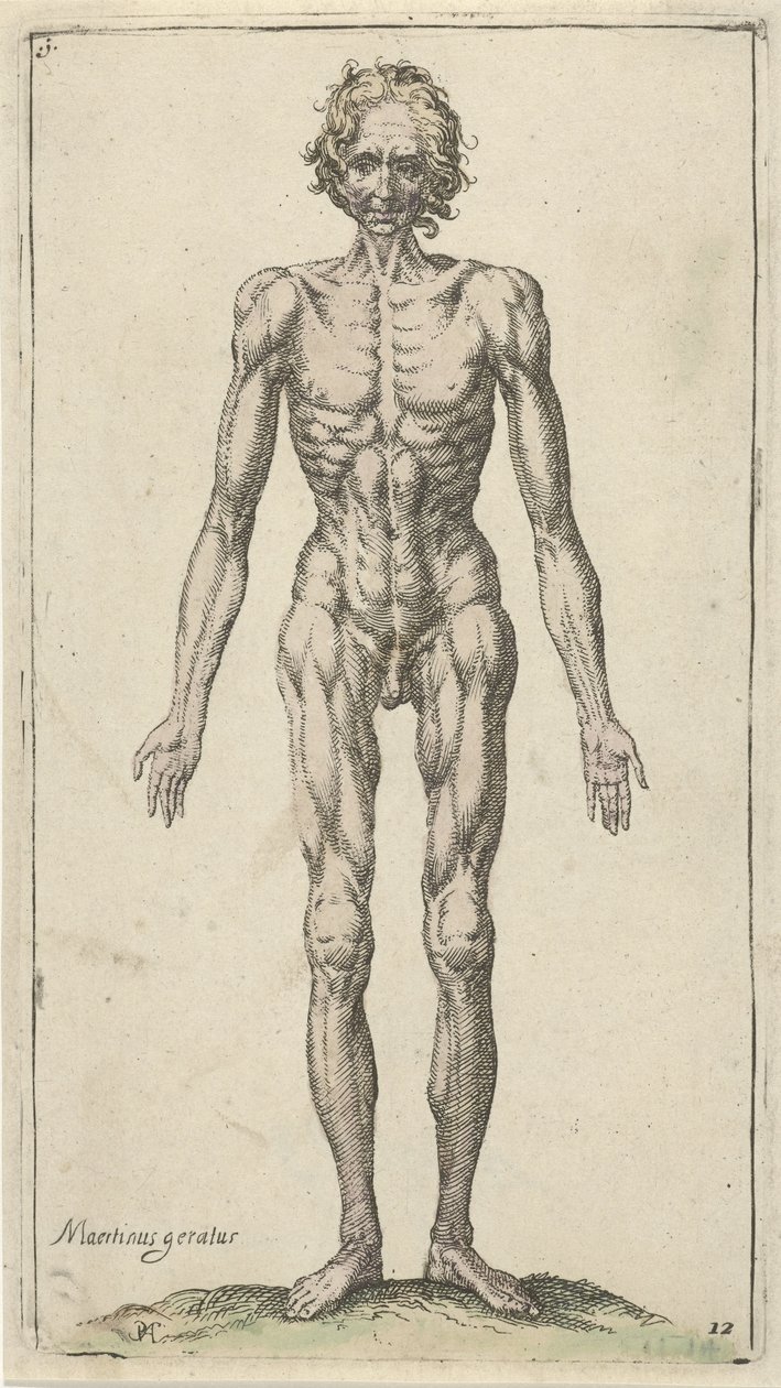 estudio de un hombre desnudo Estudios anatómicos (título de la serie) de Pieter Feddes van Harlingen