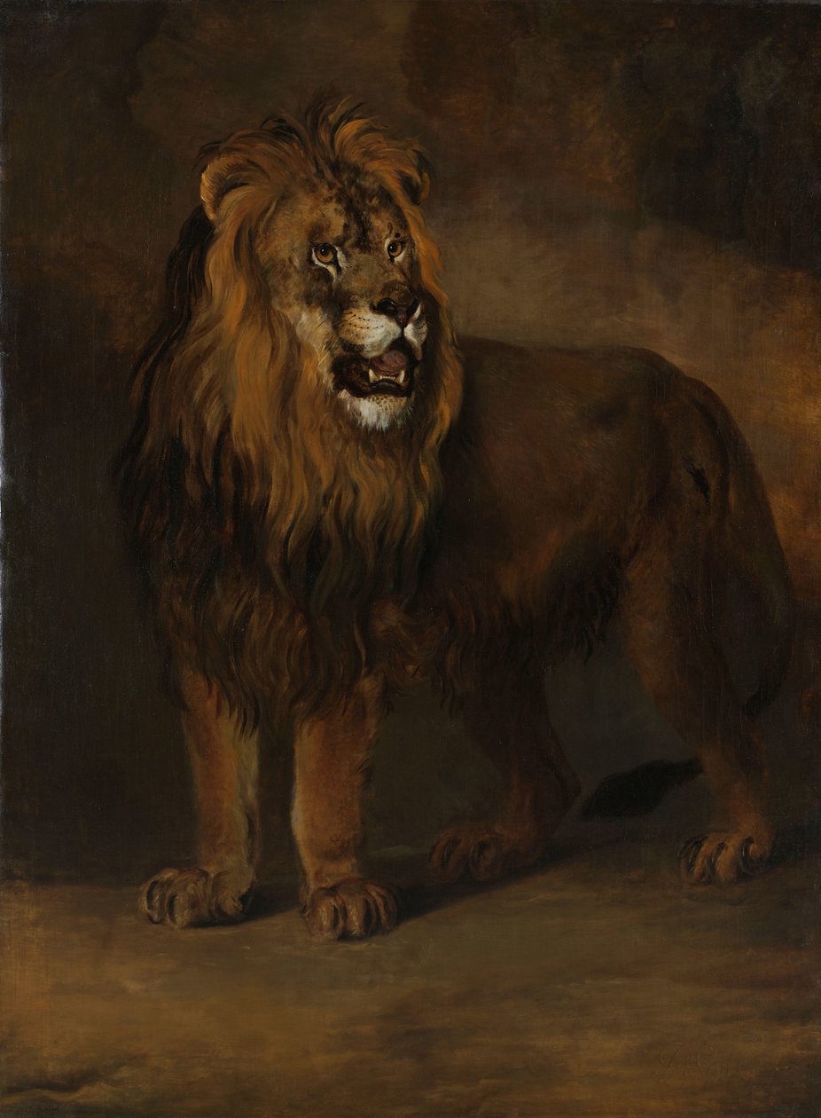 Un león de la casa de fieras del rey Luis Napoleón, 1808 de Pieter Gerardus van Os