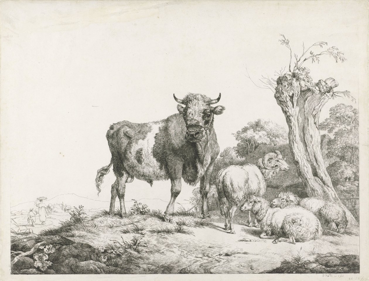 Un toro, un carnero y dos ovejas junto a un sauce desmochado de Pieter Gerardus van Os