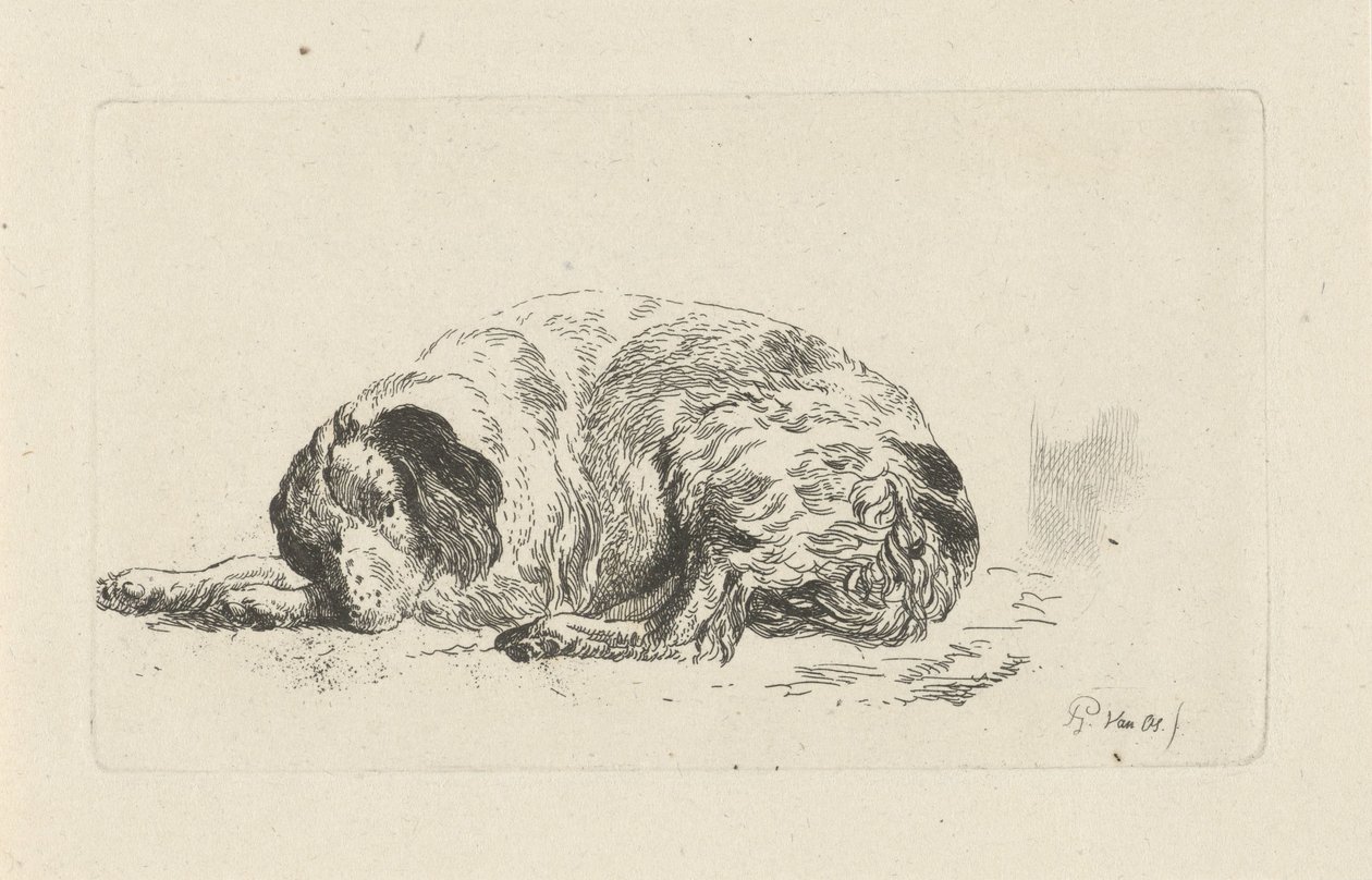 perro mentiroso de Pieter Gerardus van Os