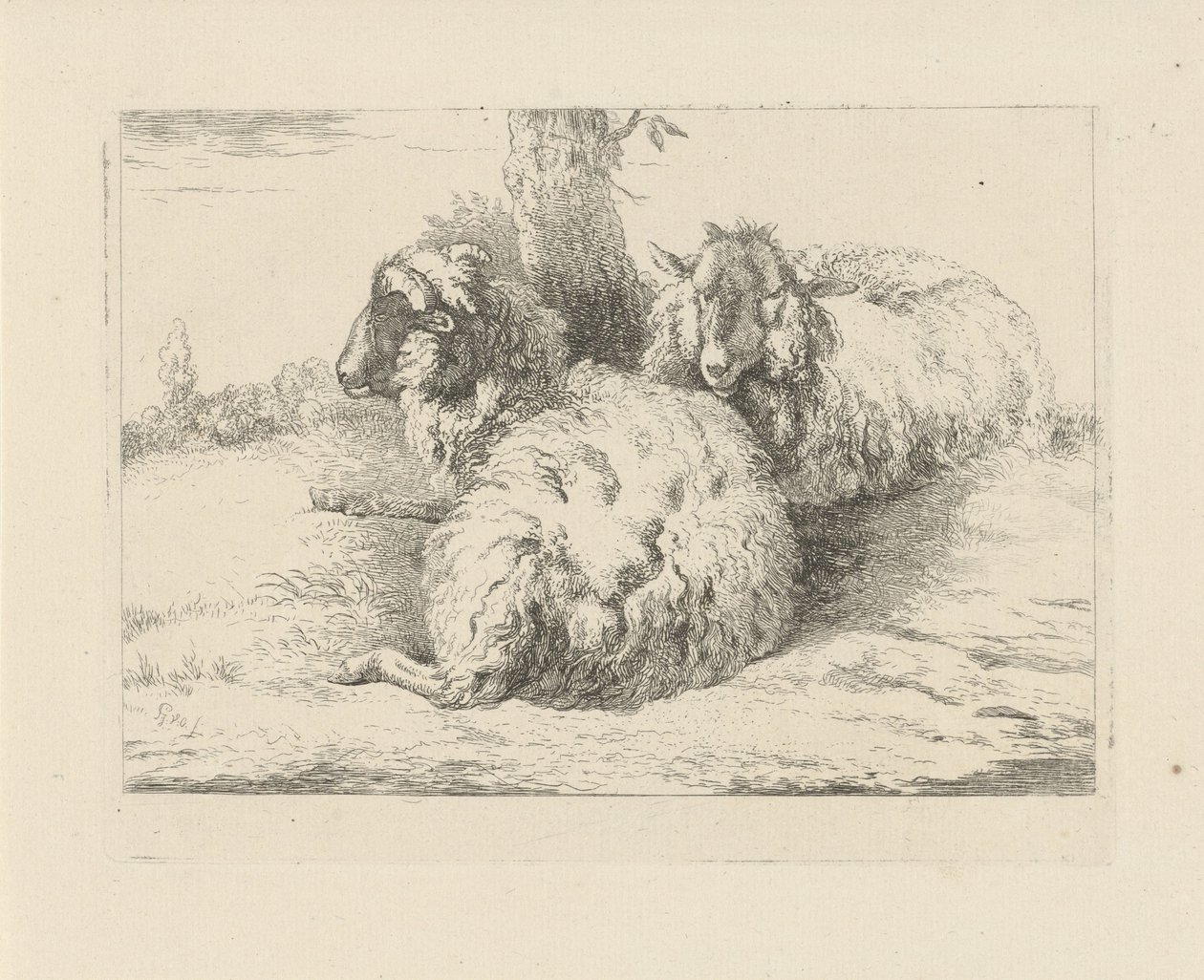 ovejas mentirosas Ovejas y cabras (título de la serie) de Pieter Gerardus van Os
