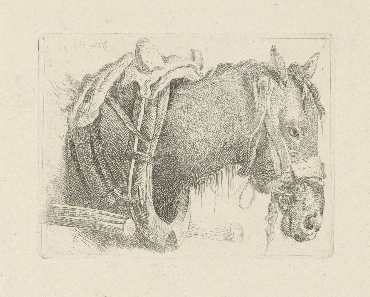 Estudio de la cabeza de un caballo. de Pieter Gerardus van Os
