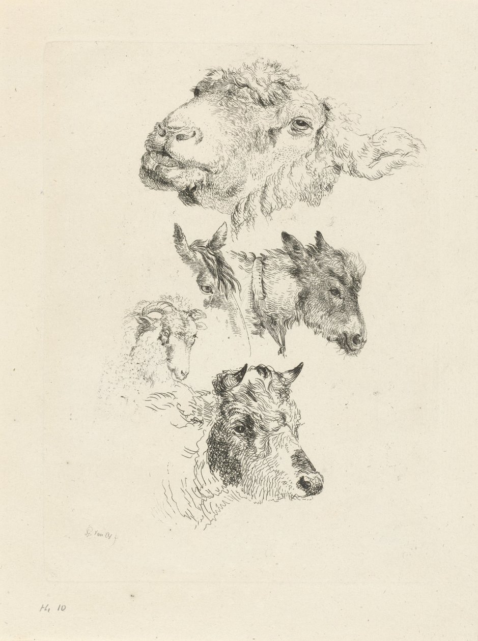 Hoja de estudio con cabezas de oveja, caballo, burro, carnero y toro de Pieter Gerardus van Os