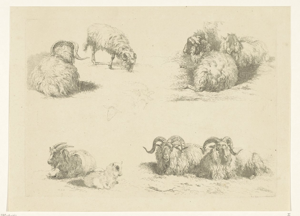 Cuatro actuaciones con ovejas y cabras Ovejas y cabras (título de la serie) de Pieter Gerardus van Os
