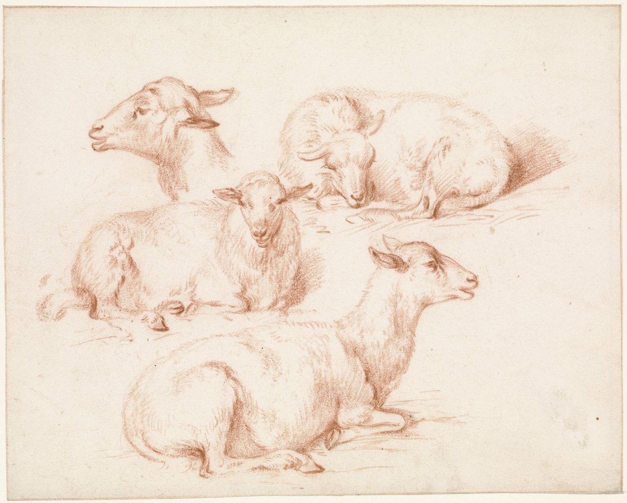 Hoja de estudio con ovejas de Pieter Jan Guise