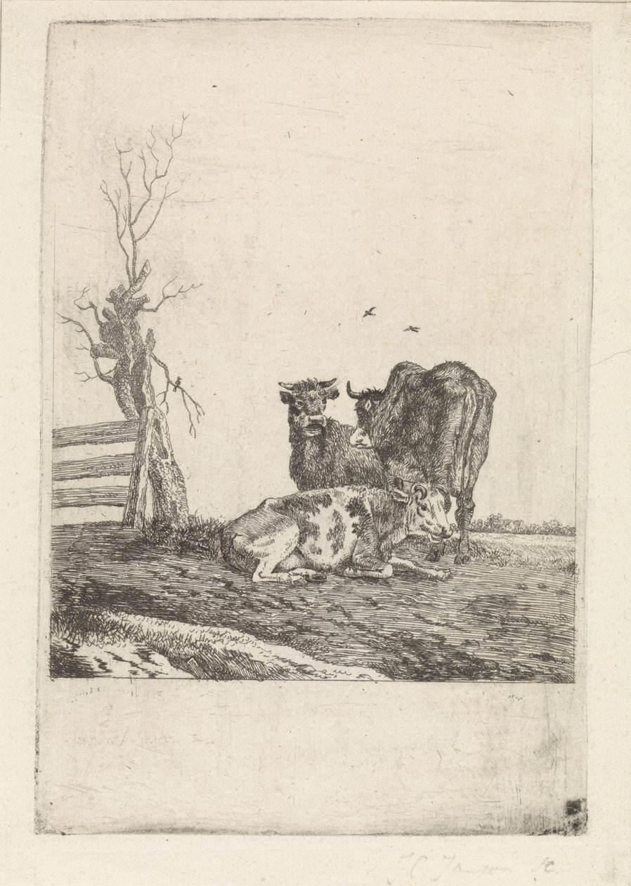 paisaje con tres vacas de Pieter Janson