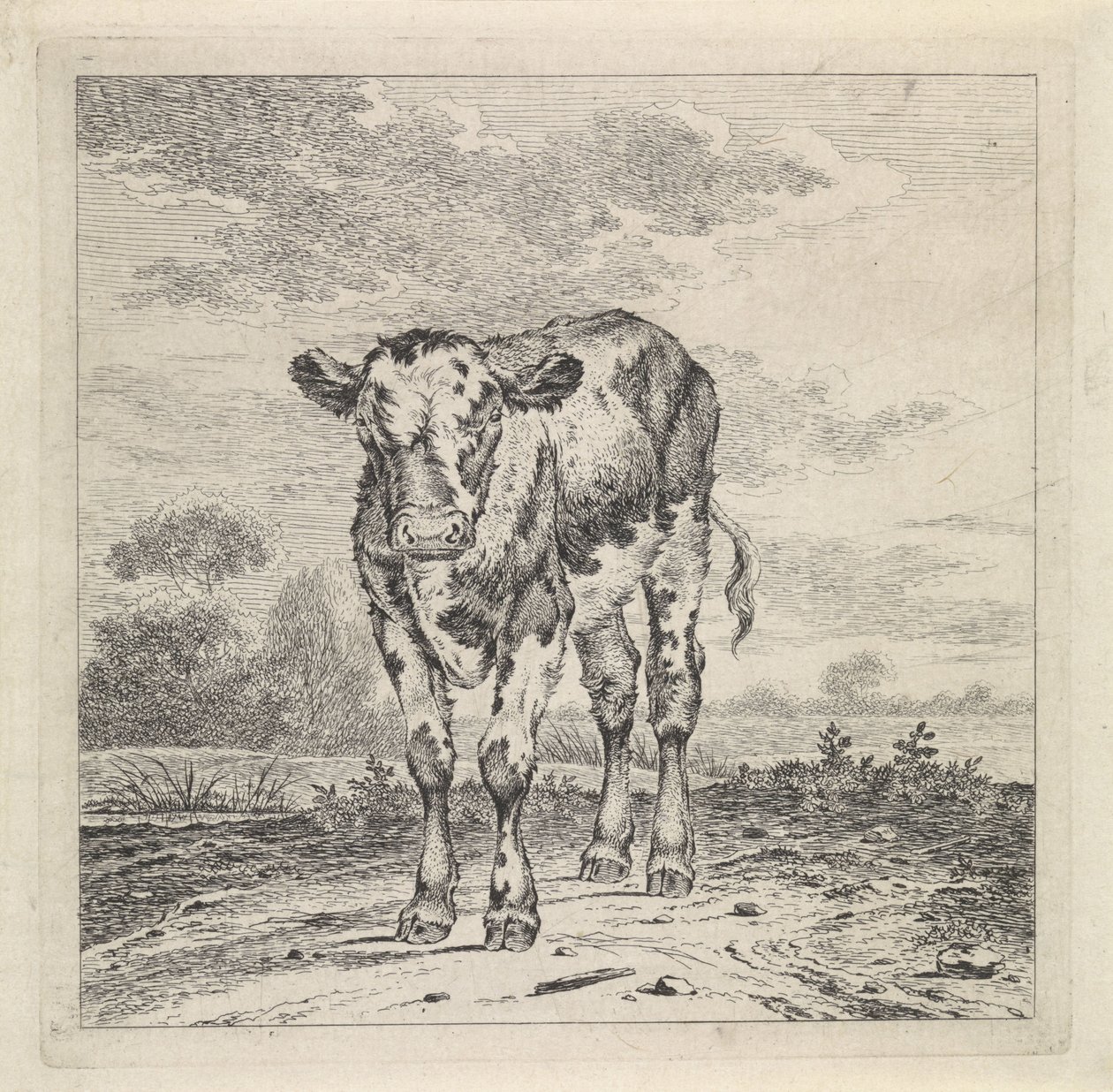 paisaje con becerro de Pieter Janson