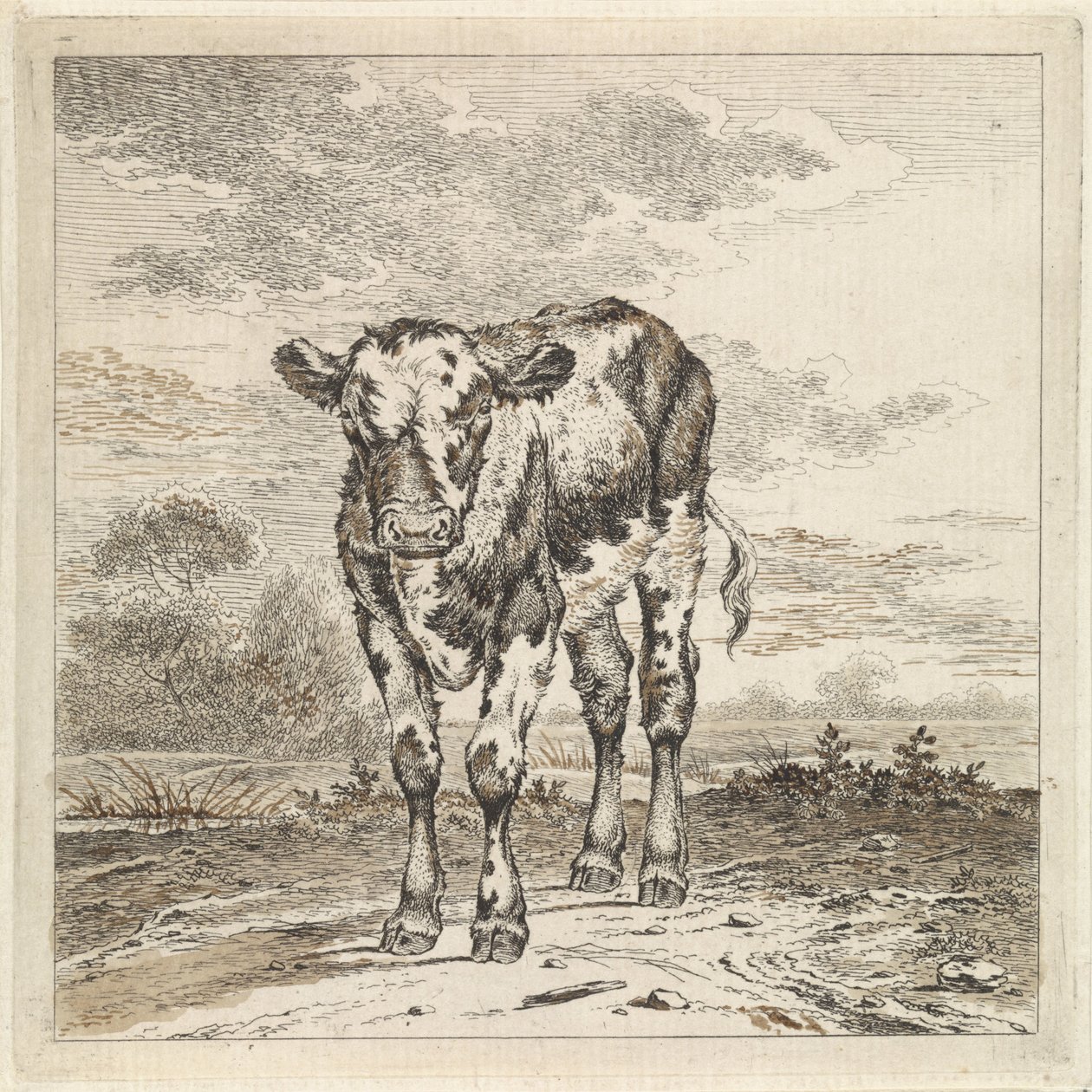 paisaje con becerro de Pieter Janson