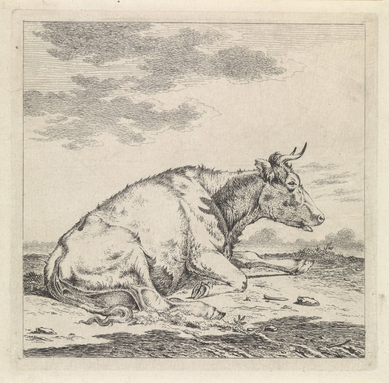 Vaca reclinada, a la derecha de Pieter Janson