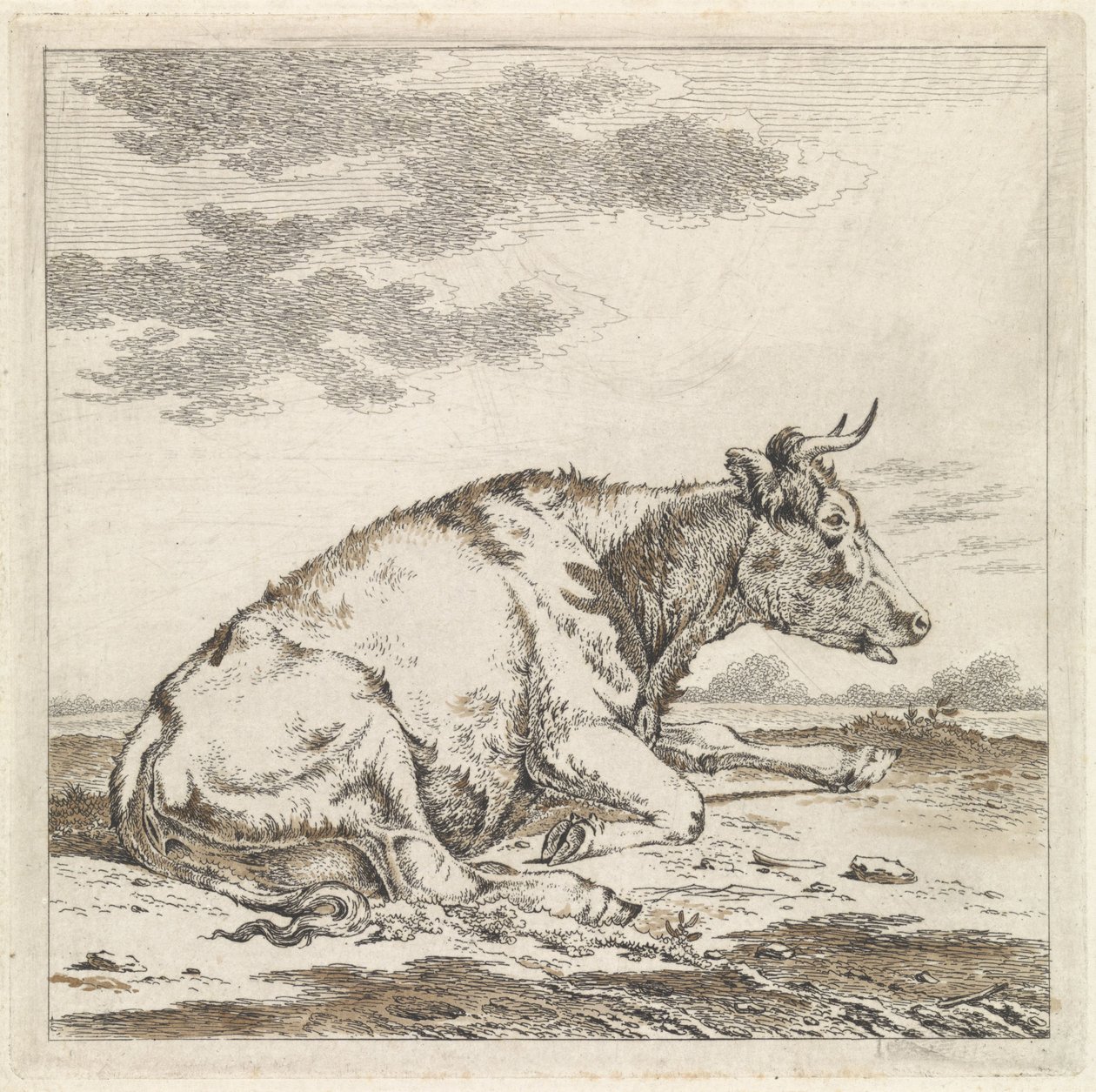 Vaca reclinada, a la derecha de Pieter Janson