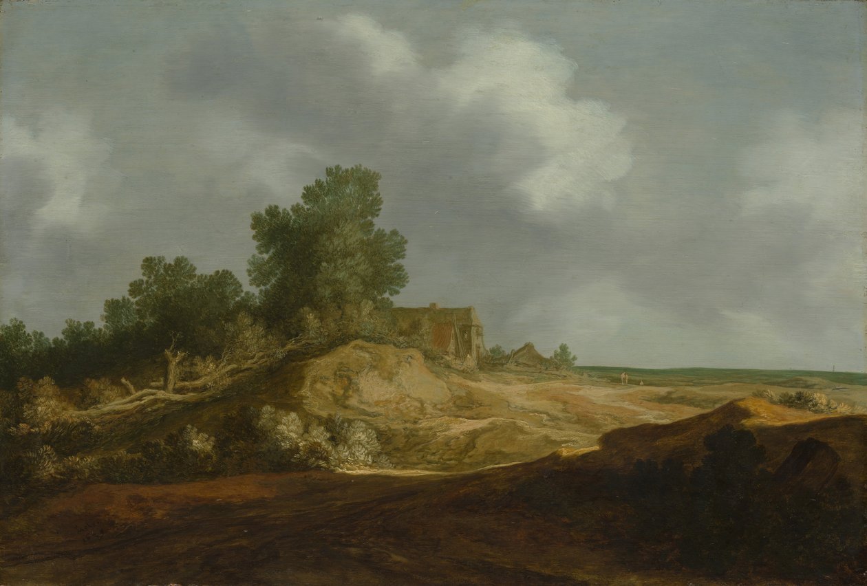 Paisaje con una cabaña de Pieter Molijn