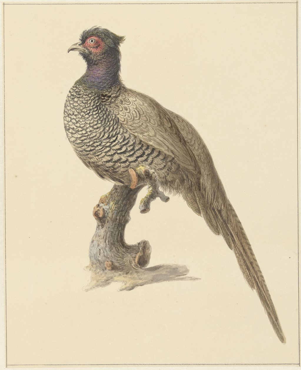 Caza del faisán de Pieter Pietersz. Barbiers