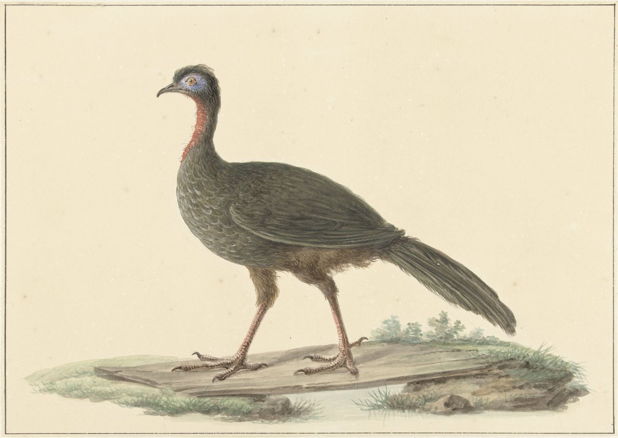 Marrailsjakohoen (Penélope Marail) de Pieter Pietersz. Barbiers