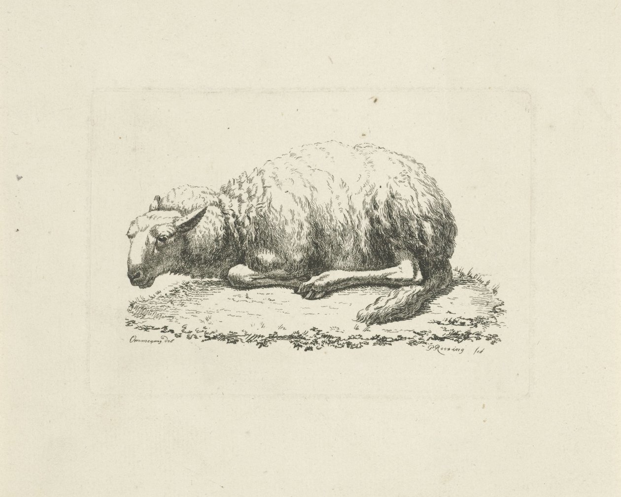ovejas mentirosas de Pieter Roosing