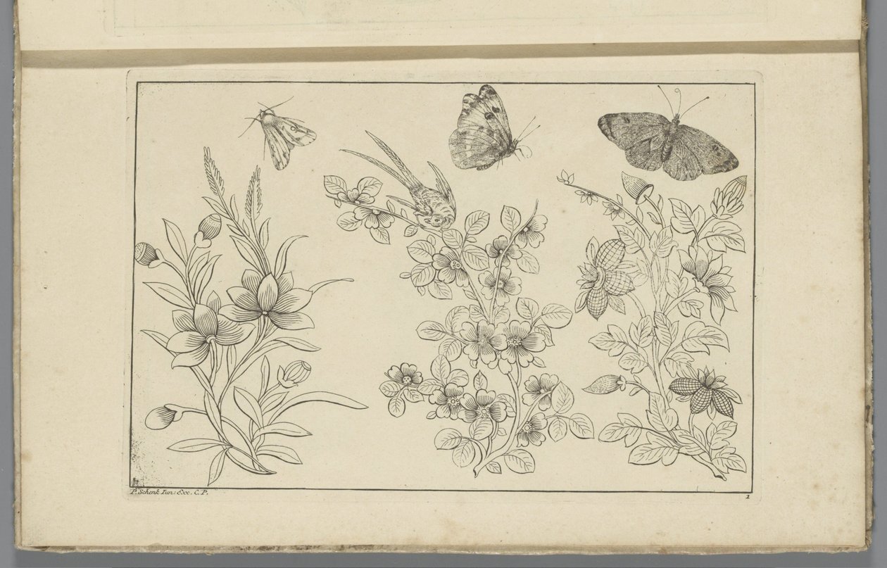 Tres ramas de flores y tres mariposas
Flores e insectos chinos (título de la serie) de Pieter Schenk (II)