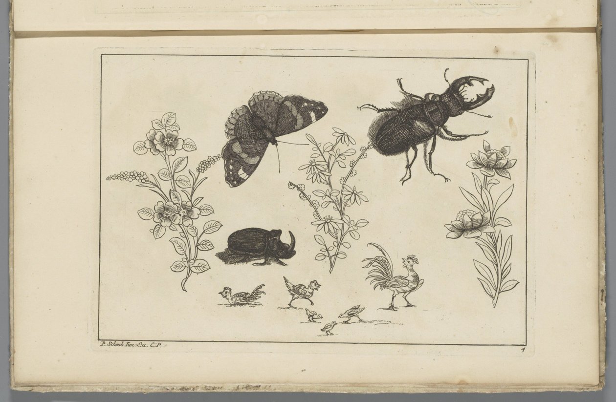 Tres ramas de flores con escarabajo rinoceronte, mariposa y escarabajo
Flores e insectos chinos (título de la serie) de Pieter Schenk (II)