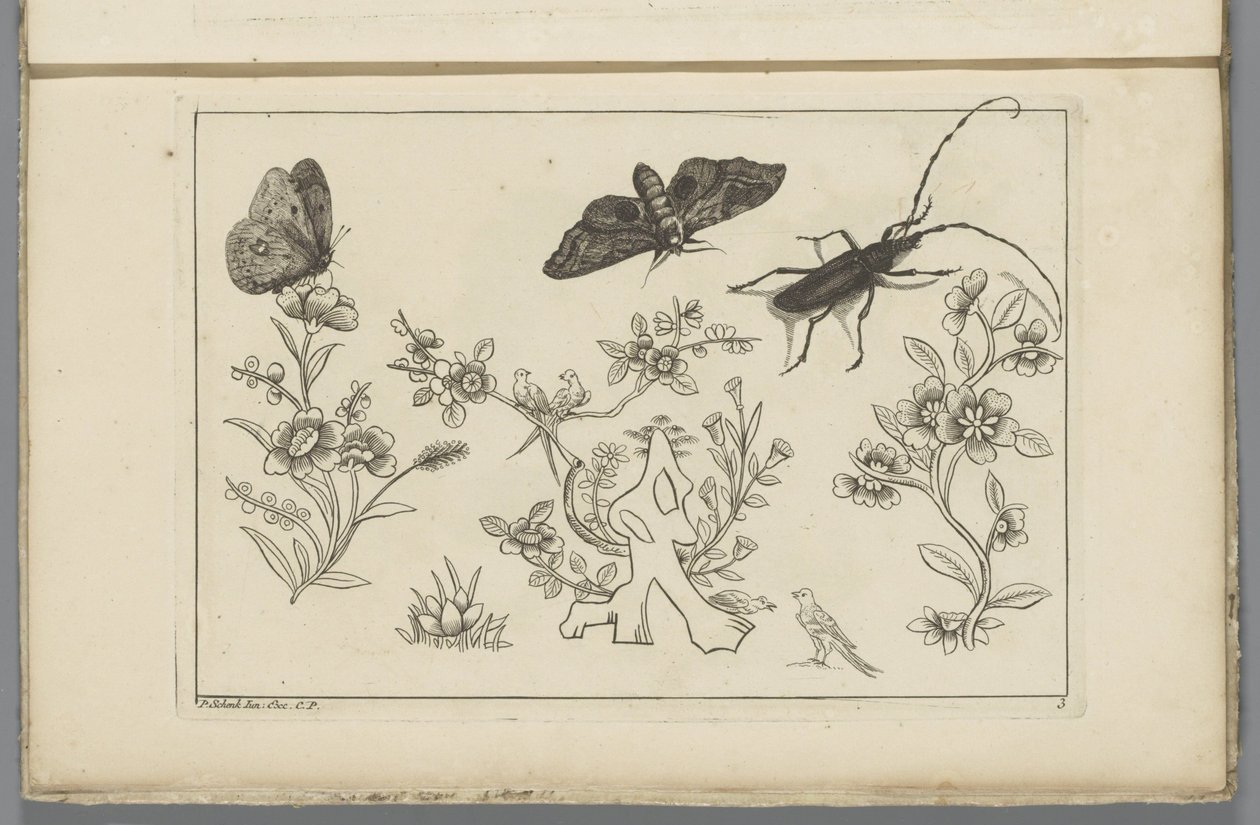 Tres ramas de flores con pájaros, mariposas y un insecto
Flores e insectos chinos (título de la serie) de Pieter Schenk (II)