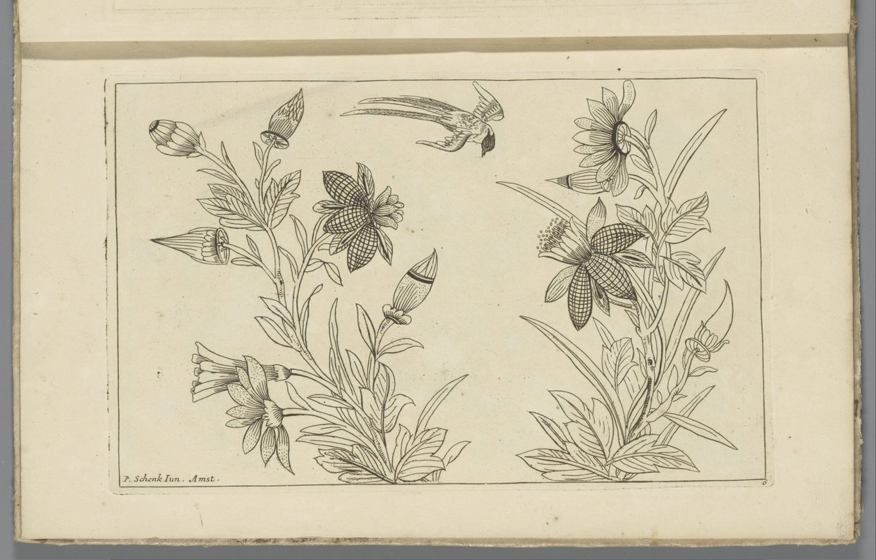 Dos arbustos de flores y una golondrina
Flores y pájaros chinos (título de la serie) de Pieter Schenk (II)