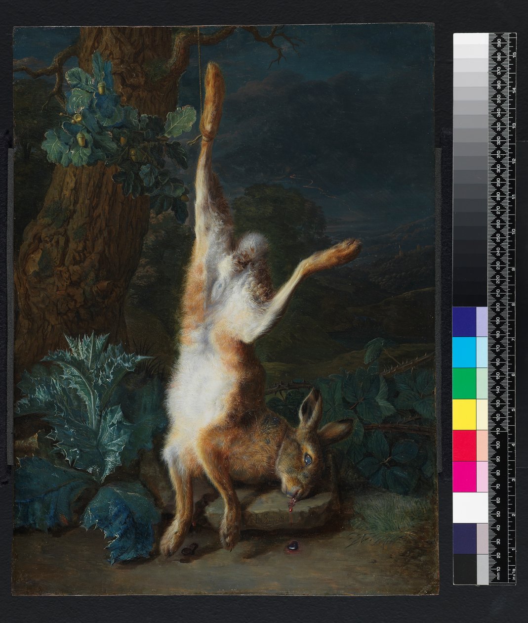 Una liebre muerta, antes de 1782 de Pieter Snyers