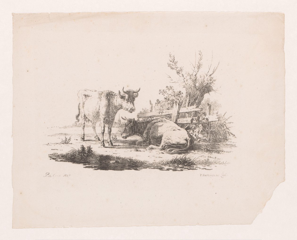 Dos vacas junto a una valla y un sauce desmochado de Pieter de Goeje