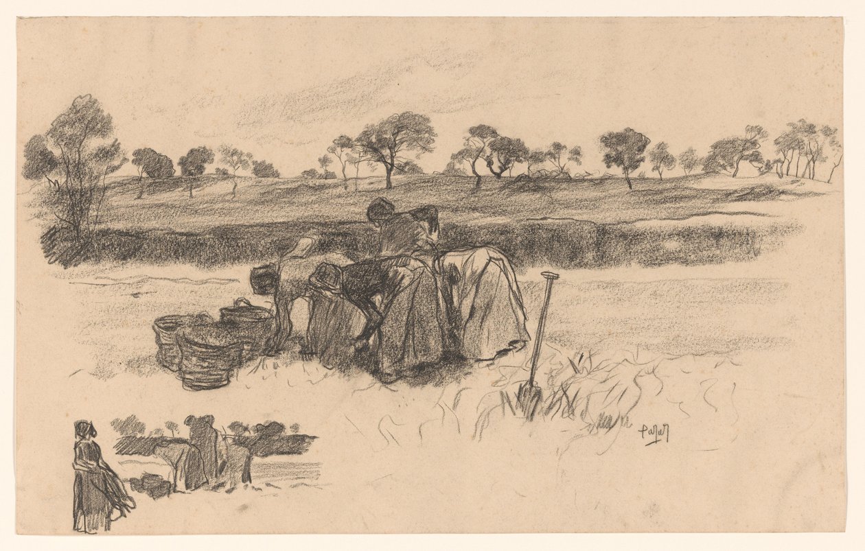 Mujeres trabajadoras en el campo de Pieter de Josselin