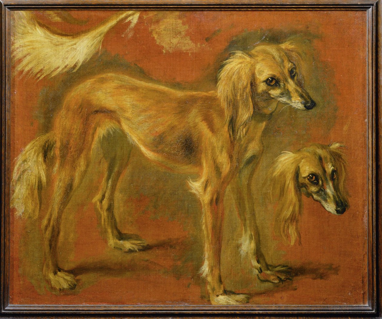 Un galgo (pintura sobre lienzo) de Pieter or Peter Boel