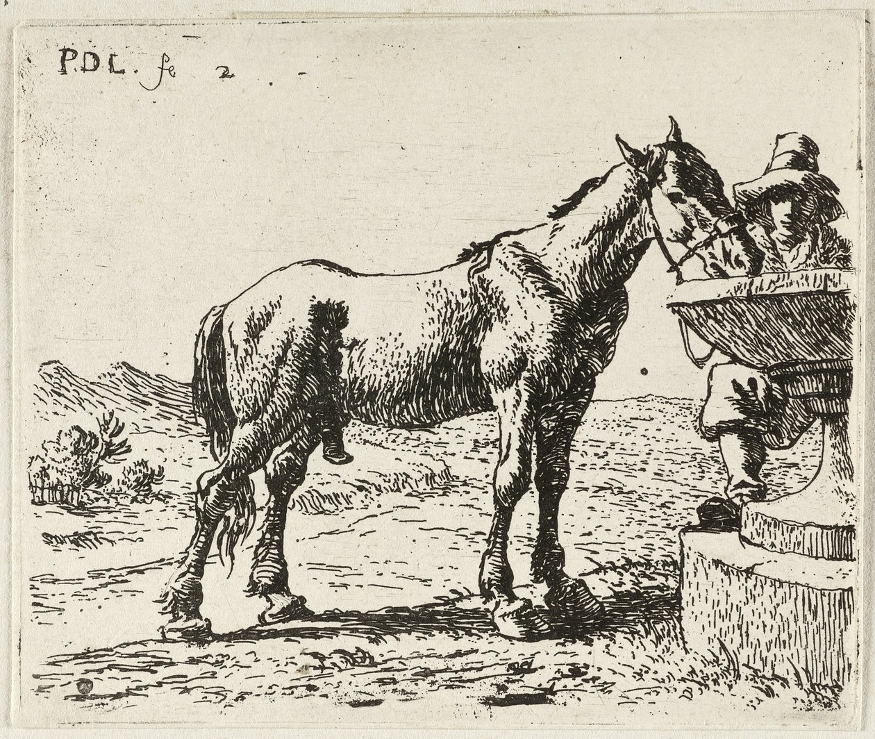 Caballo bebedor de Pieter van Laer