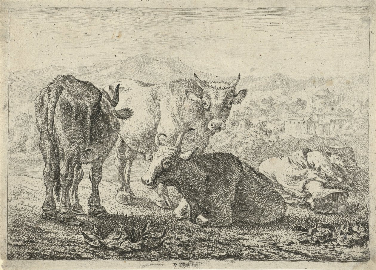 Alemán: Drei Rinder und ein schlafender Hirte
Francés: Les boeufs
Tres vacas y un pastor dormido de Pieter van Laer