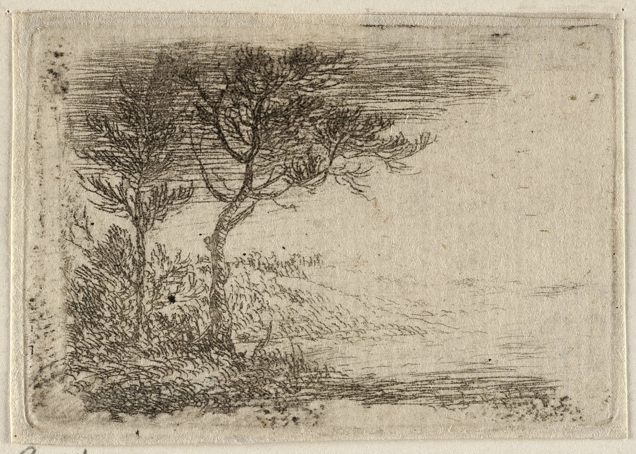 Alemán: Paisaje con dos árboles de Pieter van Laer