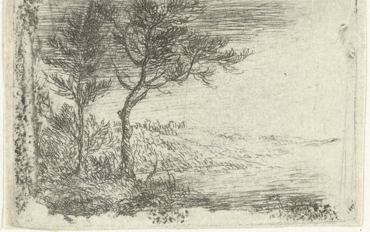 Alemán: Paisaje con dos árboles de Pieter van Laer
