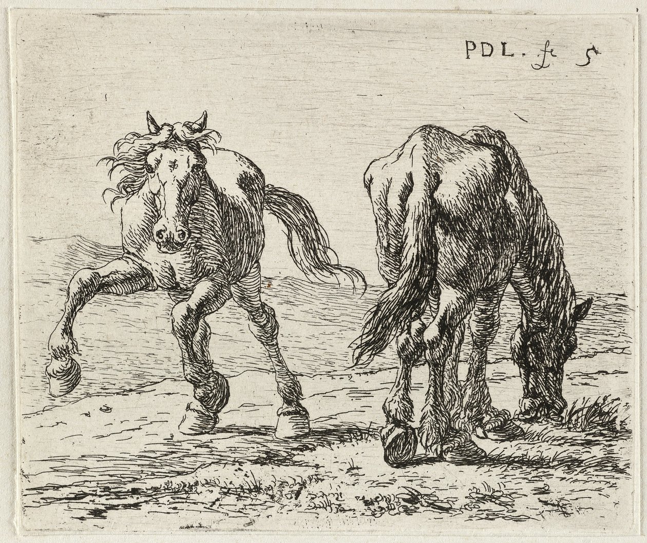 Alemán: Zwei Pferde auf einer Weide
Francés: Les deux chevaux au pâturage
Dos caballos en un prado de Pieter van Laer
