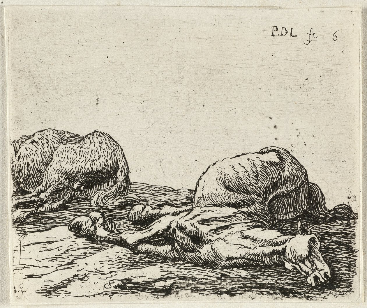 Alemán: Zwei tote Pferde
Francés: Les deux chevaux morts
Dos caballos muertos de Pieter van Laer