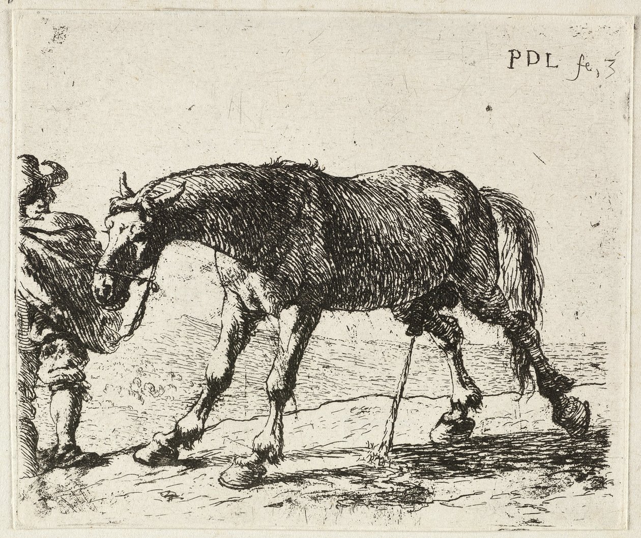 Caballo meón de Pieter van Laer