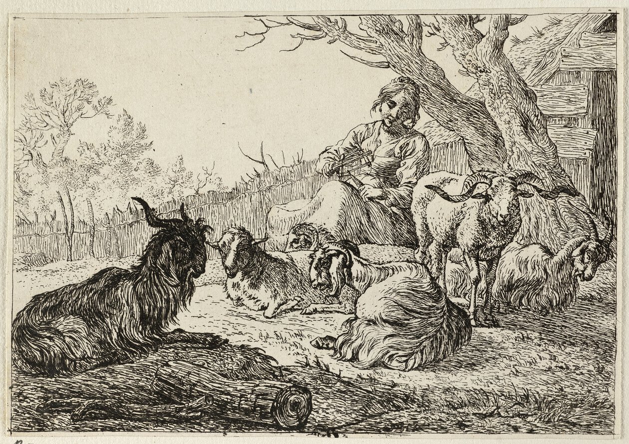 Diosa entre cabras y ovejas de Pieter van Laer