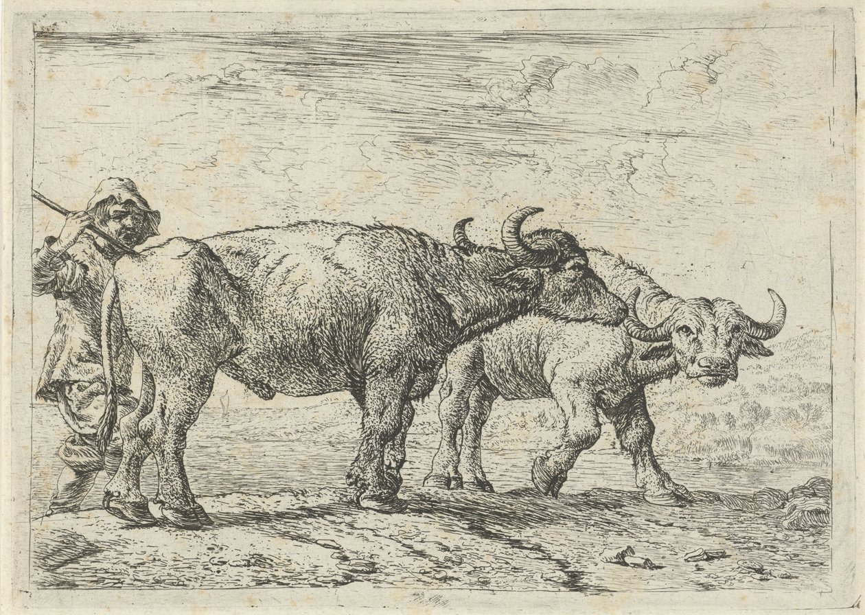 Dos búfalos y un pastor de Pieter van Laer
