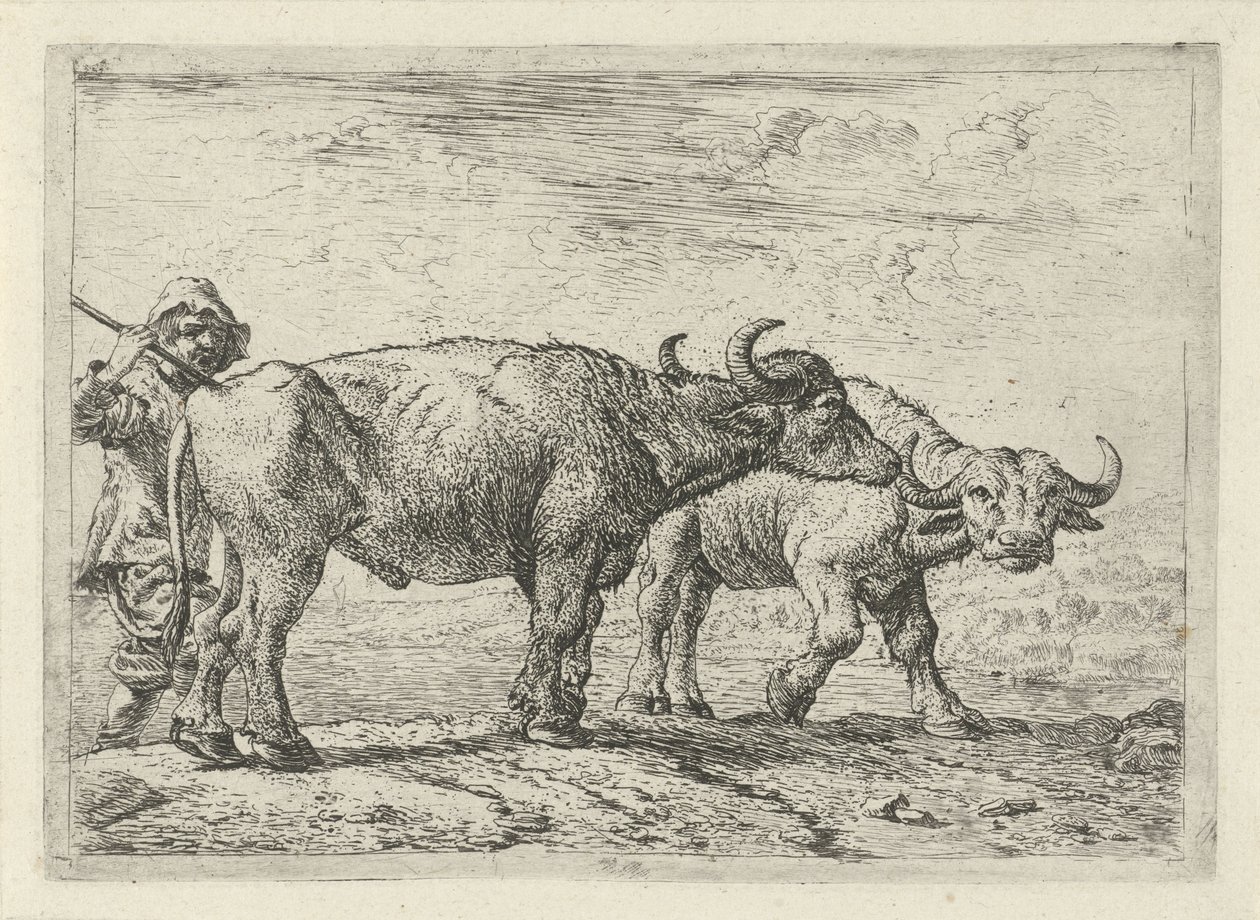 Dos búfalos y un pastor de Pieter van Laer